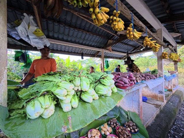 Dadus TLSLS 2024: Probeza Timor-Leste 37%, Area Rural Sae 45.5% no Urbana 18.4%