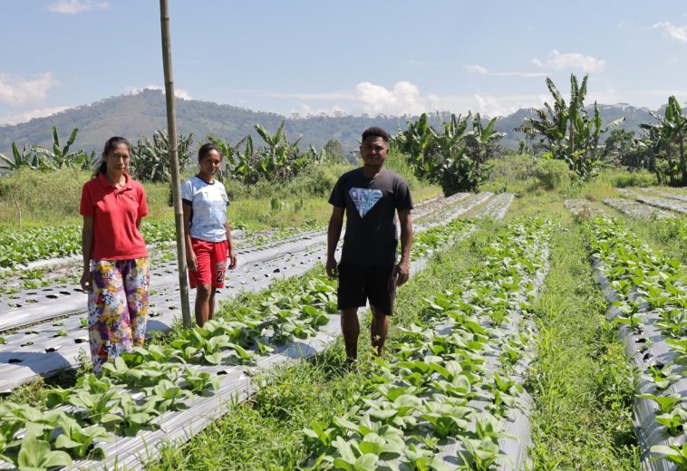 The Humanitarian Imperative: Why Solidarity Matters More Than Ever