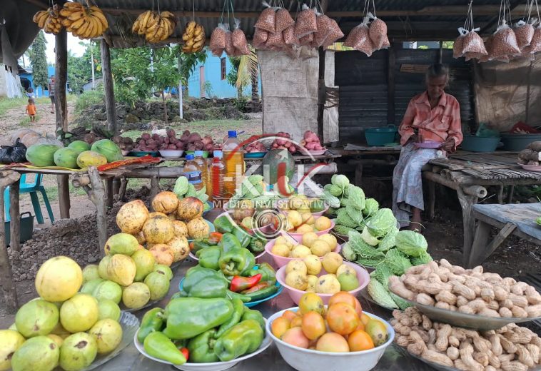 La’o Hamutuk Rekomenda Governu Aumenta Investimentu Agrikultura To’o 5% atu Haforsa Ekonomia Nasionál